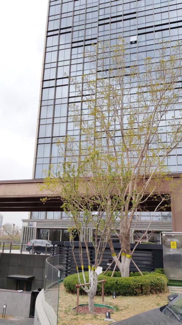 图片2_compressed (1).jpg